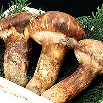 Amazon | まつたけ 松茸 マツタケ 中国産松茸 約200g 市場直送